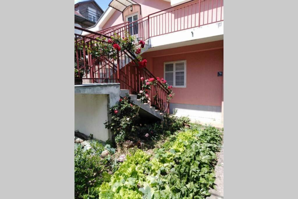 Apartman Danica Χέρτσεγκ Νόβι Εξωτερικό φωτογραφία